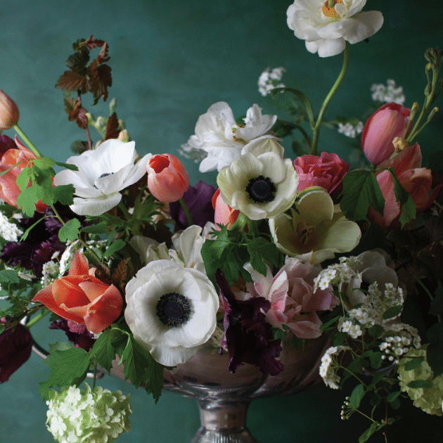 Jen Opheim: A New Leaf